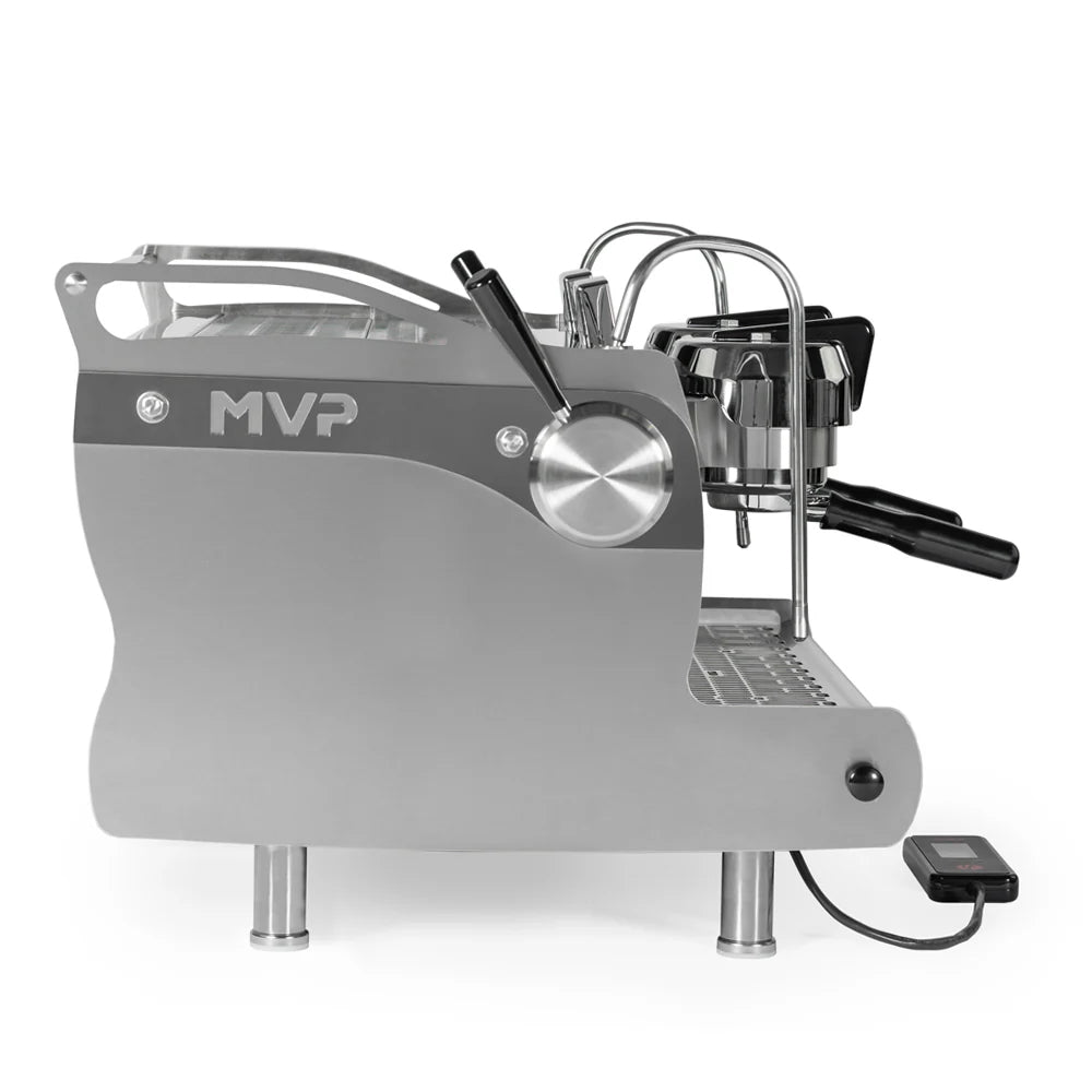 Synesso MVP 2-Group